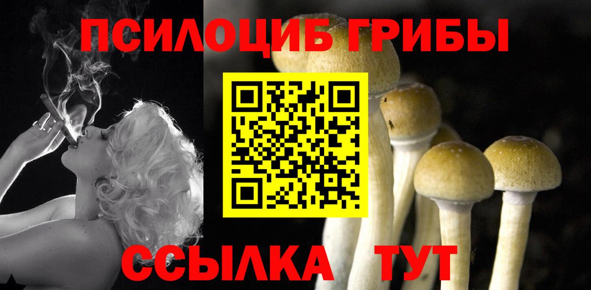 Галлюциногенные грибы Cubensis  Вход с VPN  Саров 