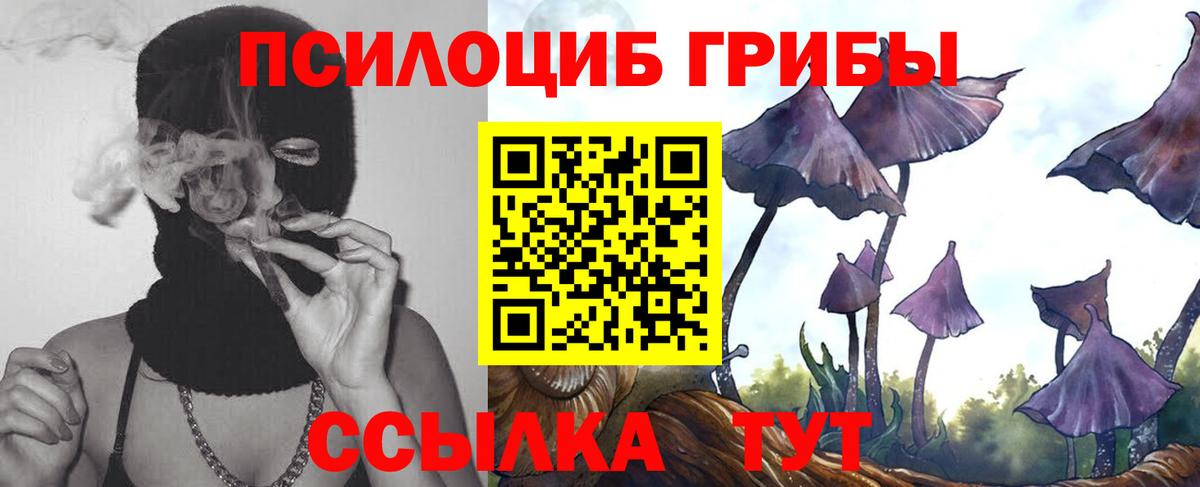 Псилоцибиновые грибы мухоморы Саров